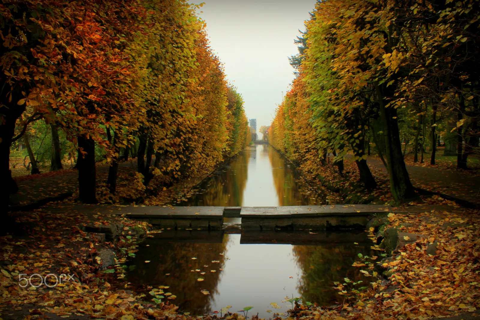 Park Kuźniczki